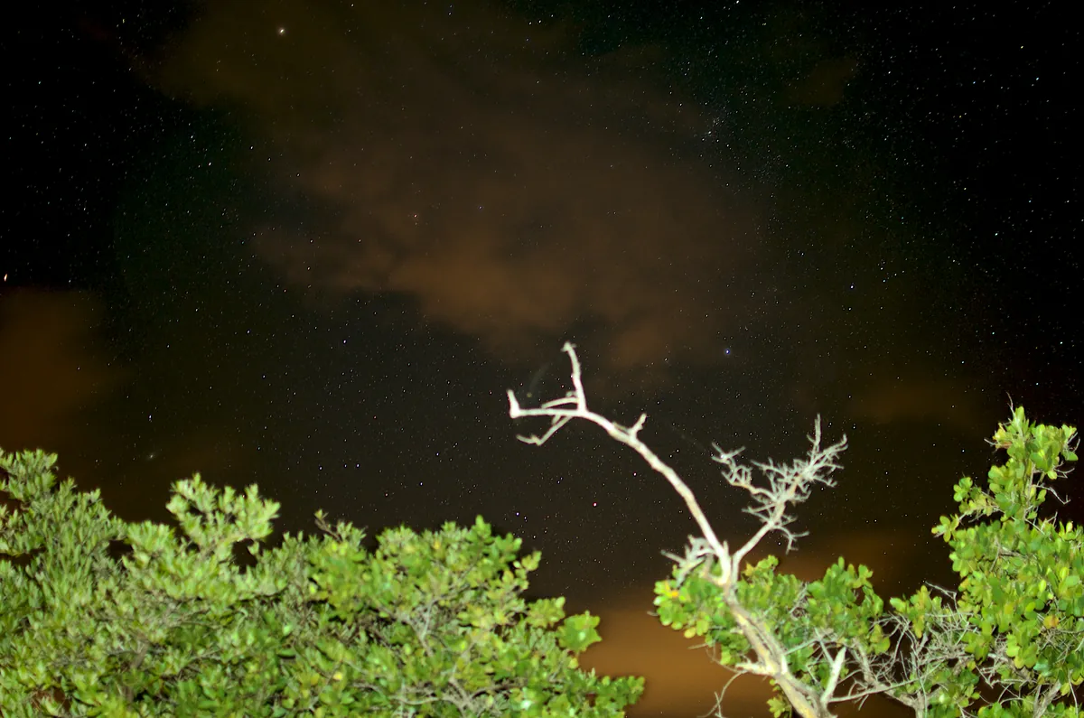 Phosphorescent Bay (Bahía Mosquito), Vieques