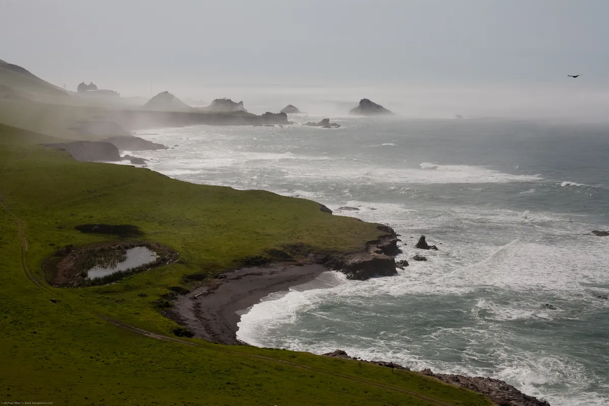 Point Buchon Trail
