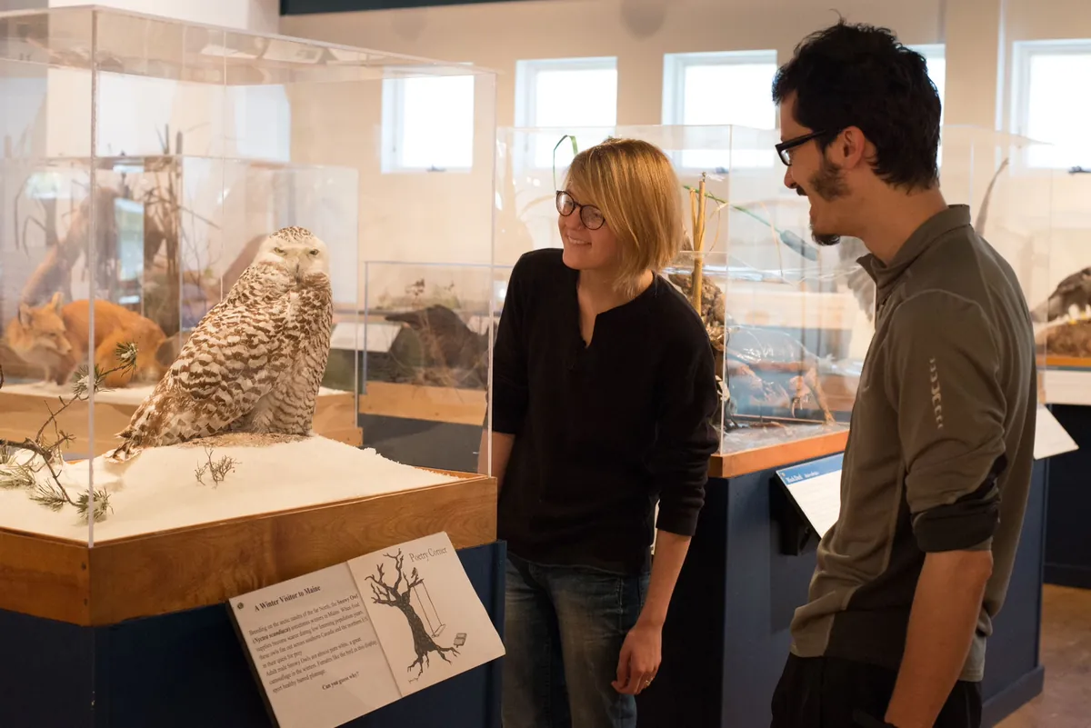 George B. Dorr Museum of Natural History (College of the Atlantic)