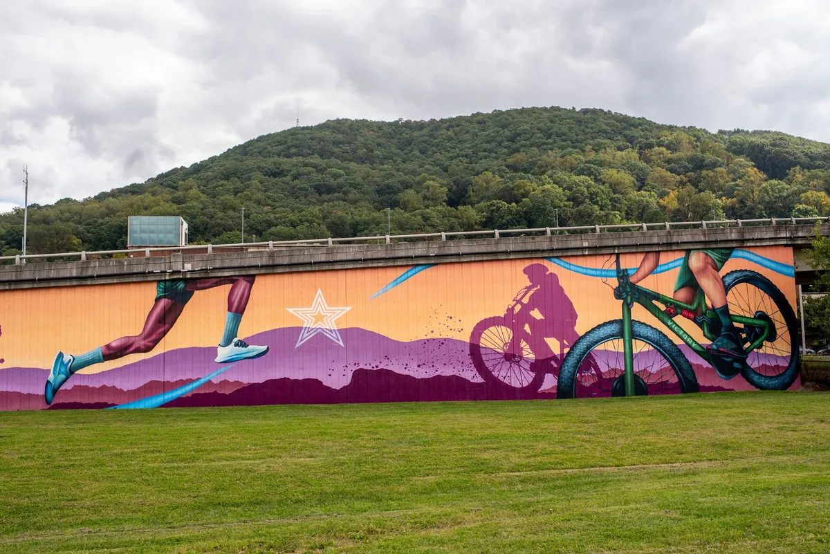 Roanoke Murals — Street Art in the Star City