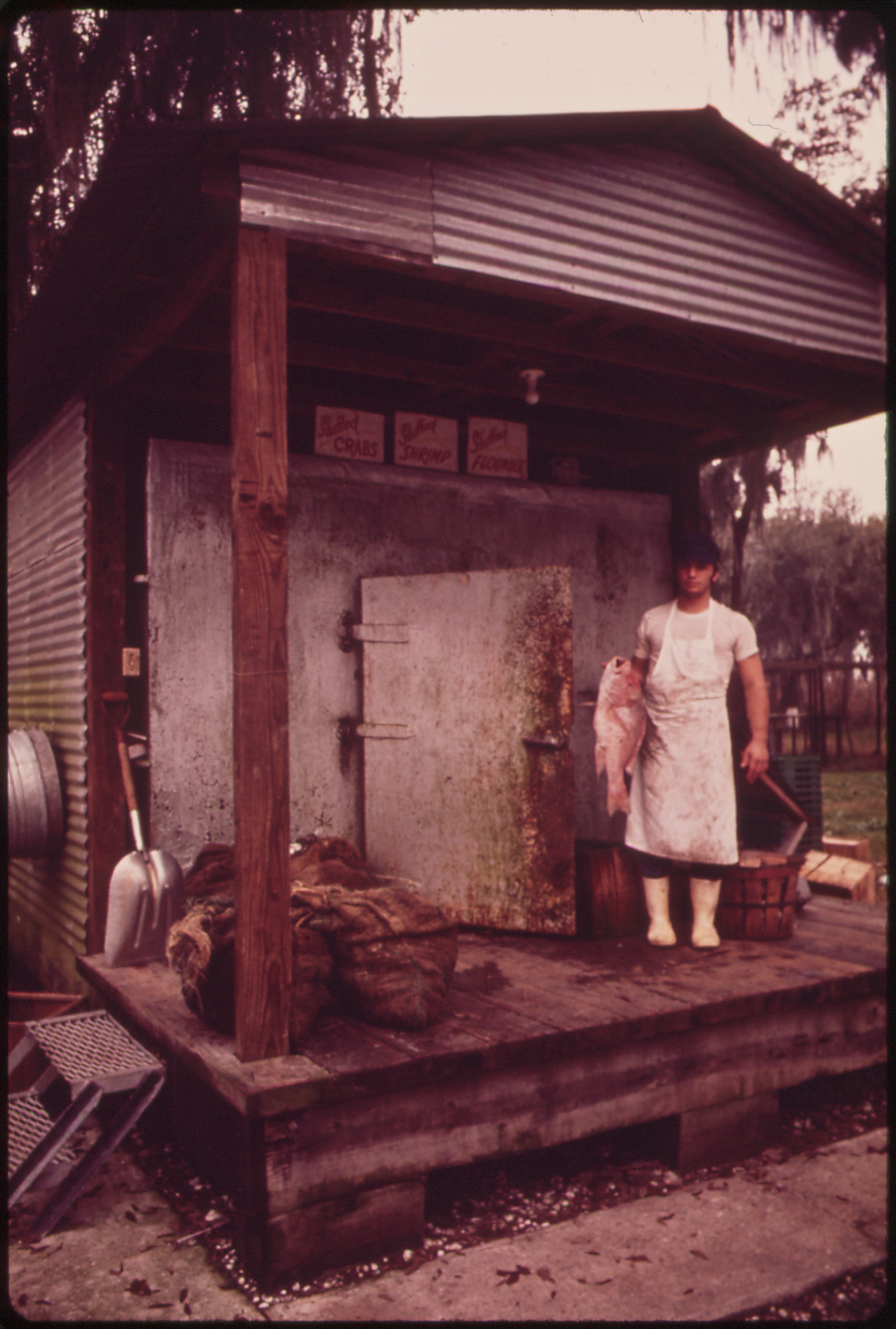 The Seafood Industry — Gulf, Lake, and Bayou