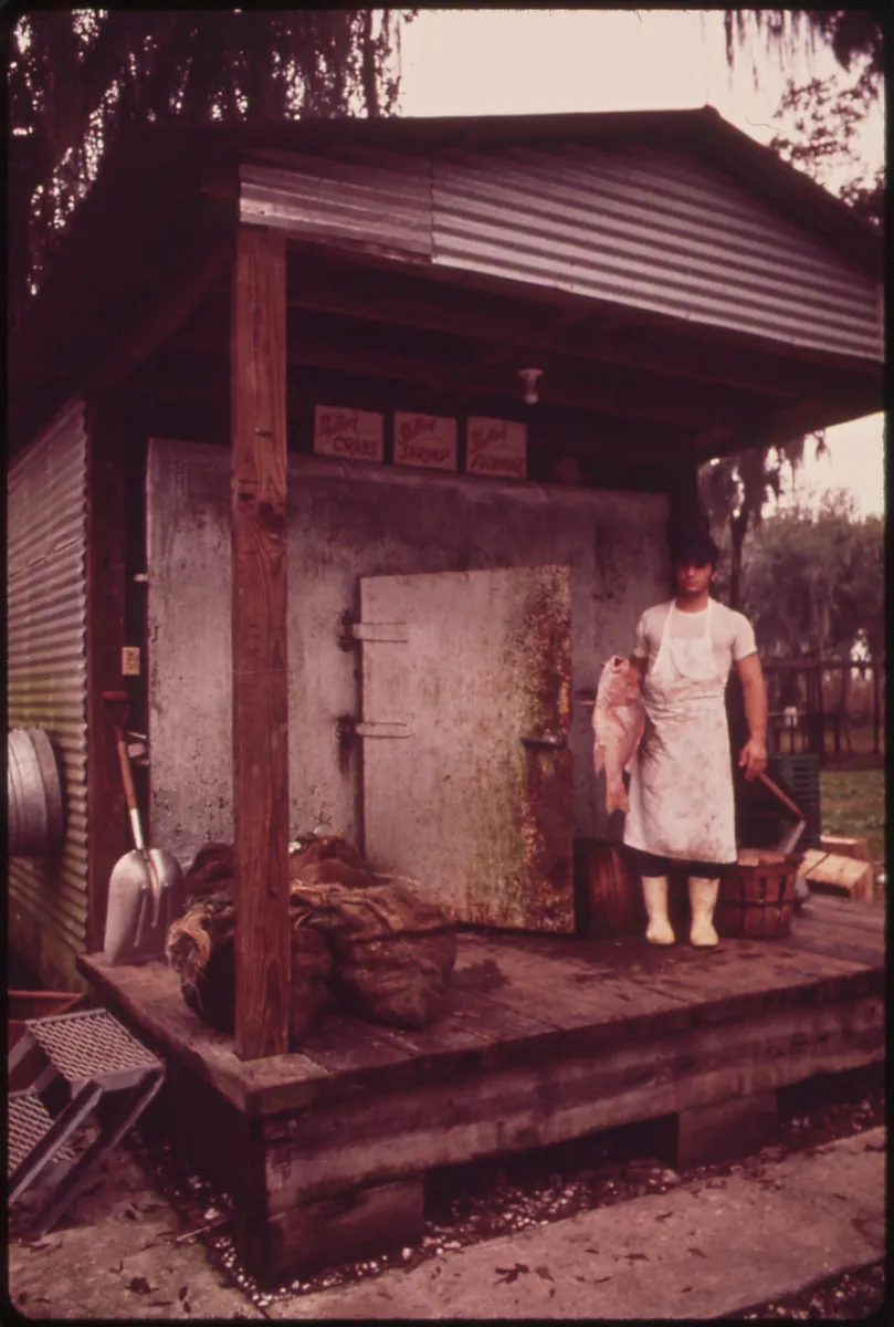The Seafood Industry — Gulf, Lake, and Bayou