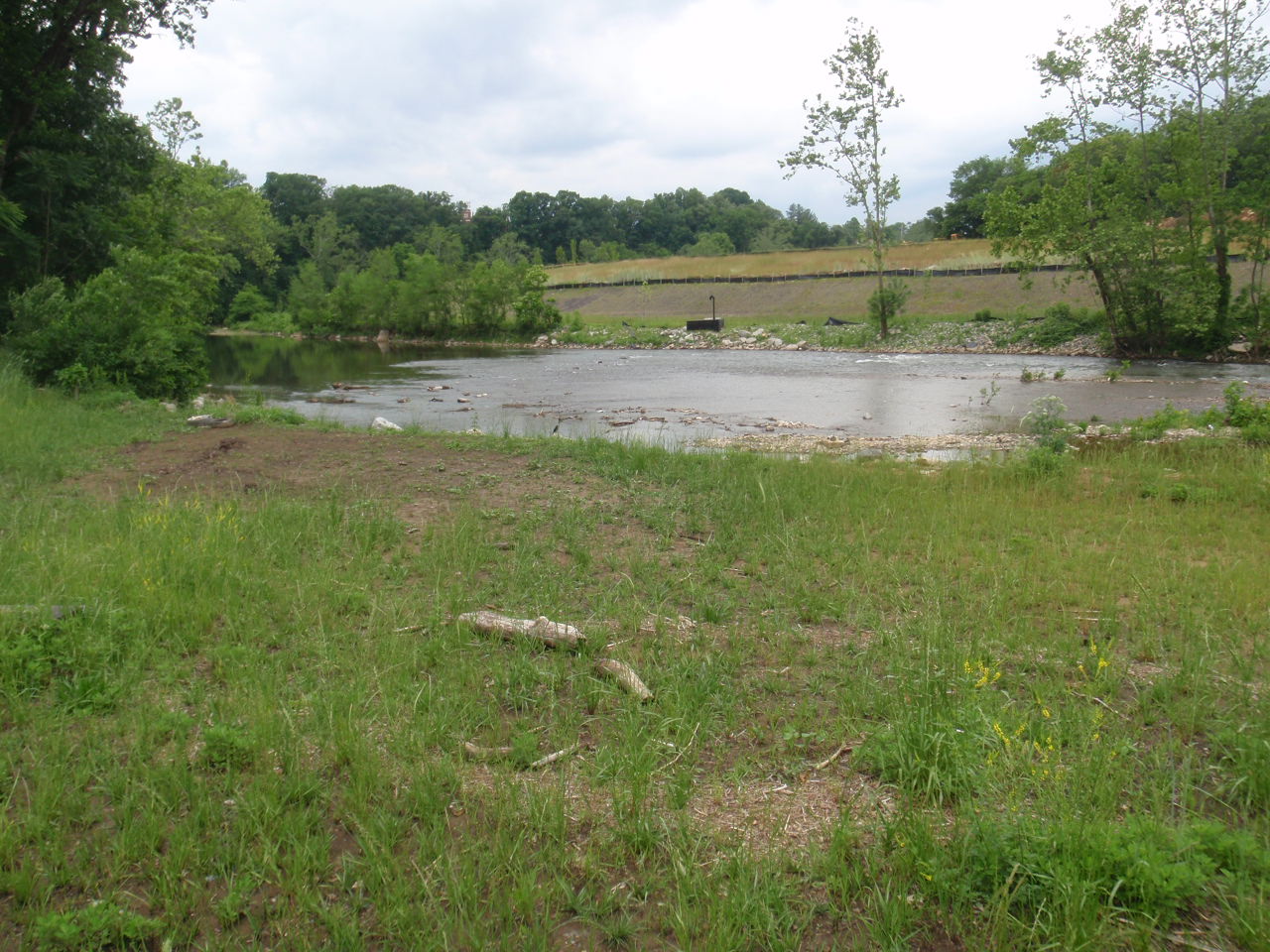 Wasena Park — Roanoke River's Urban Playground