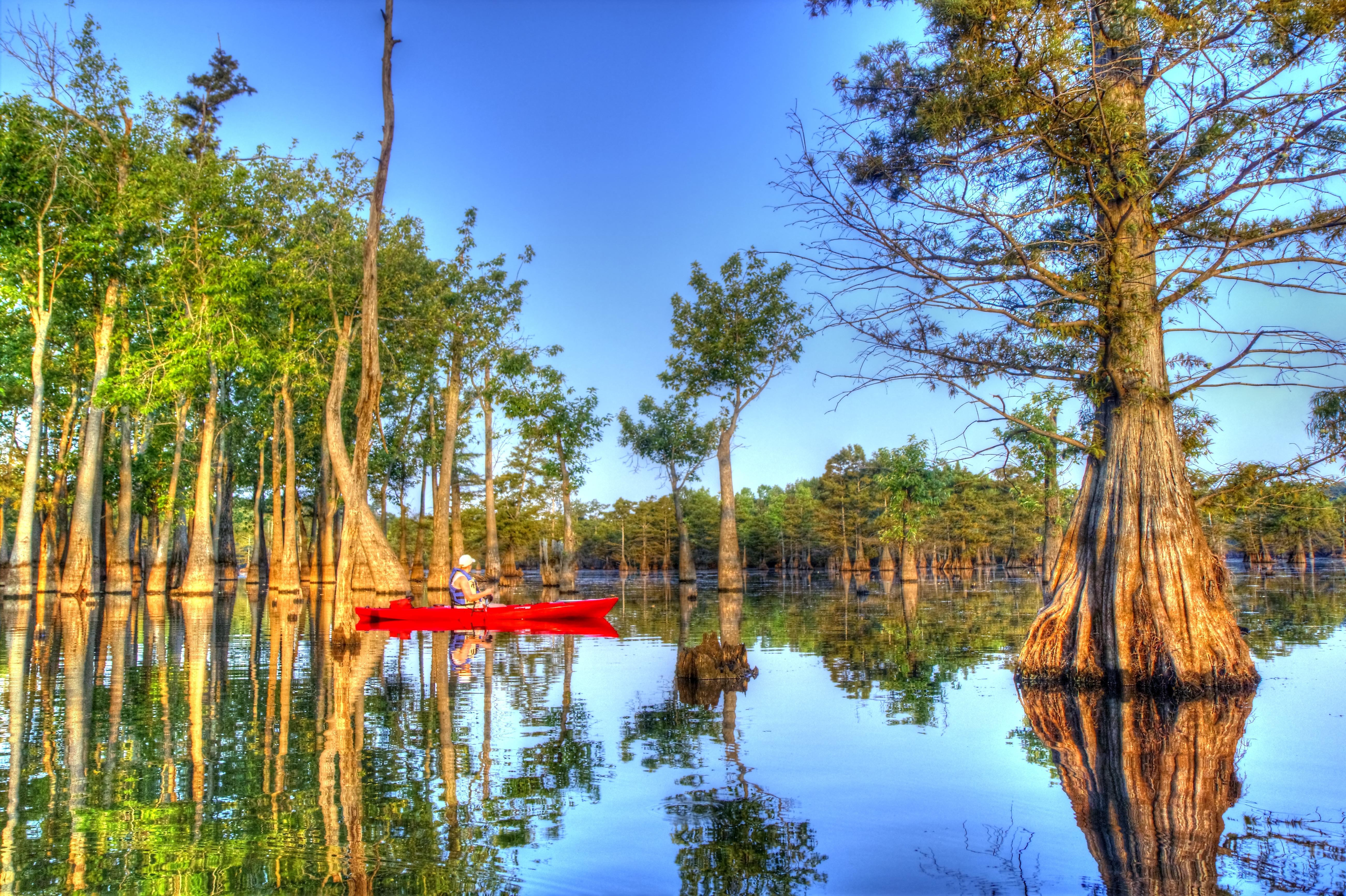 Upper Ouachita National Wildlife Refuge