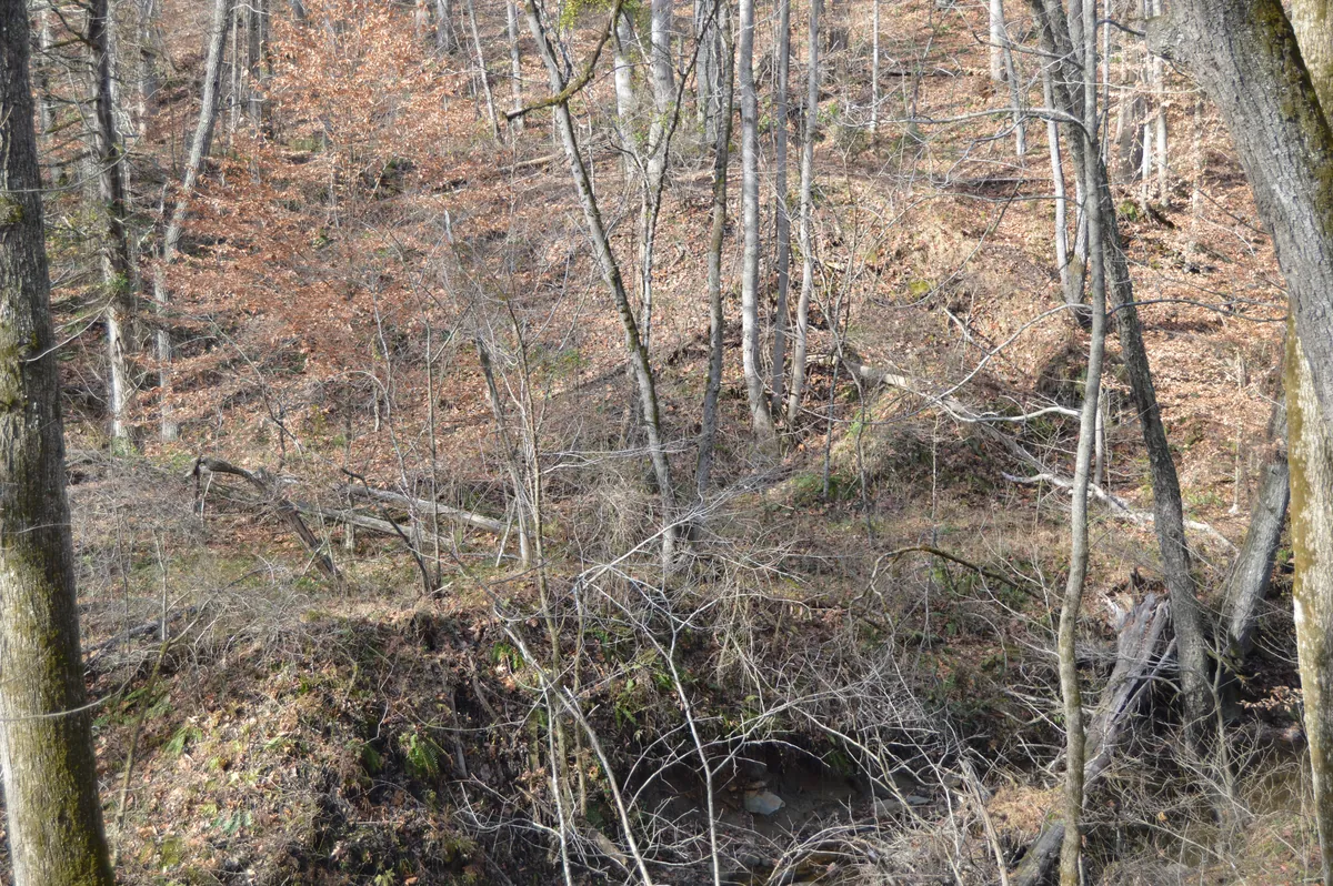 Tubal Furnace Archaeological Site