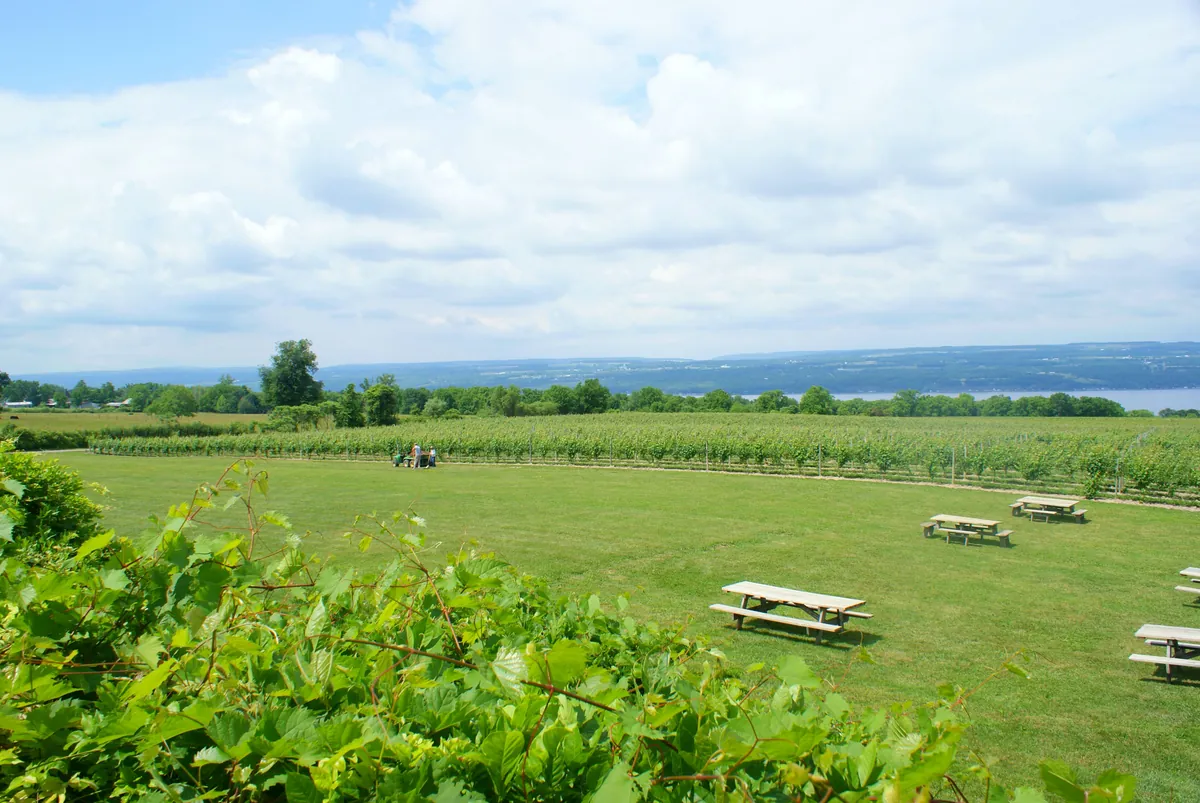Seneca Lake Wine Trail