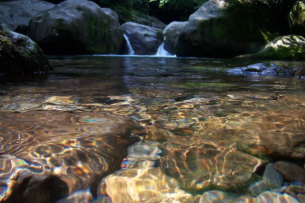 Midnight Hole
