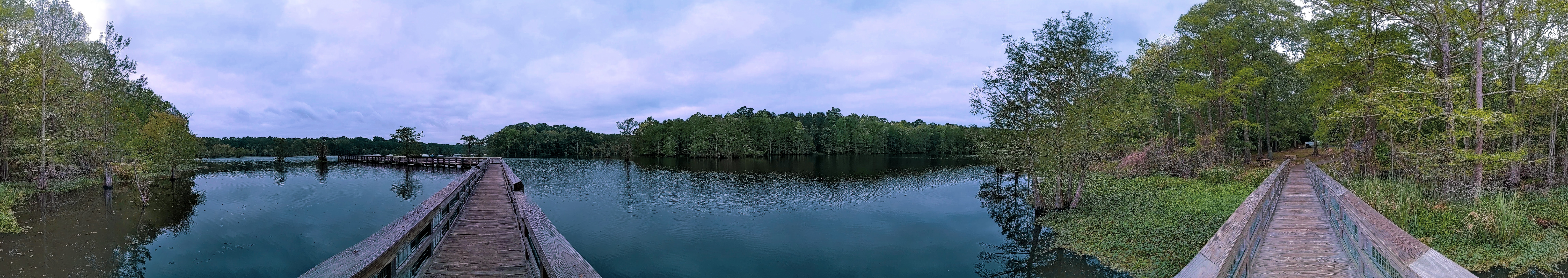 Chicot State Park — Louisiana's Largest
