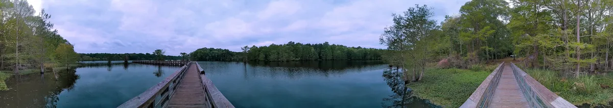Chicot State Park — Louisiana's Largest