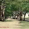 Scenic Drive Historic District — historical photo
